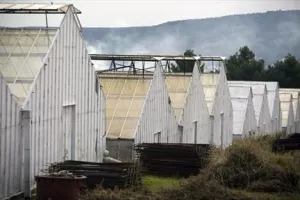 Ka&scaron;telanski staklenici dobivaju novi Nadzorni odbor