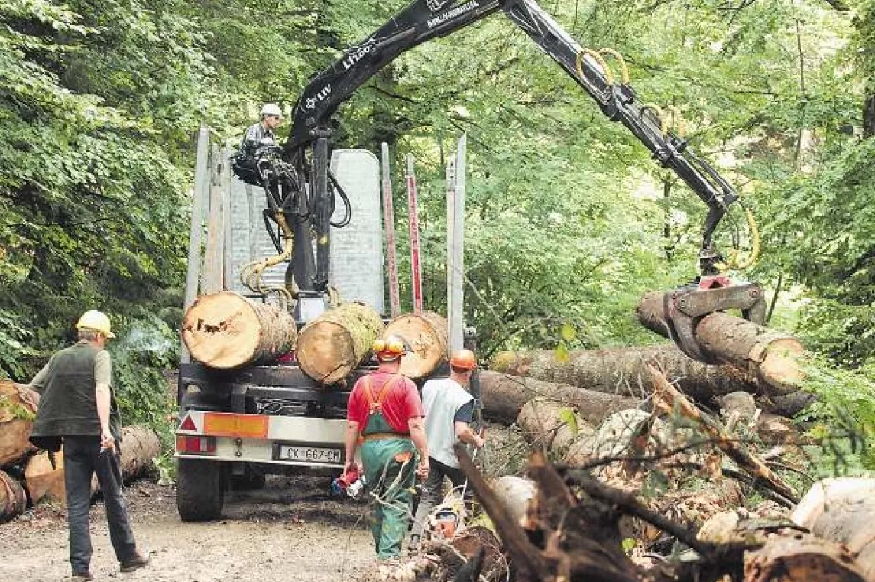 Ova godina sudbonosna za hrvatsku drvnu industriju