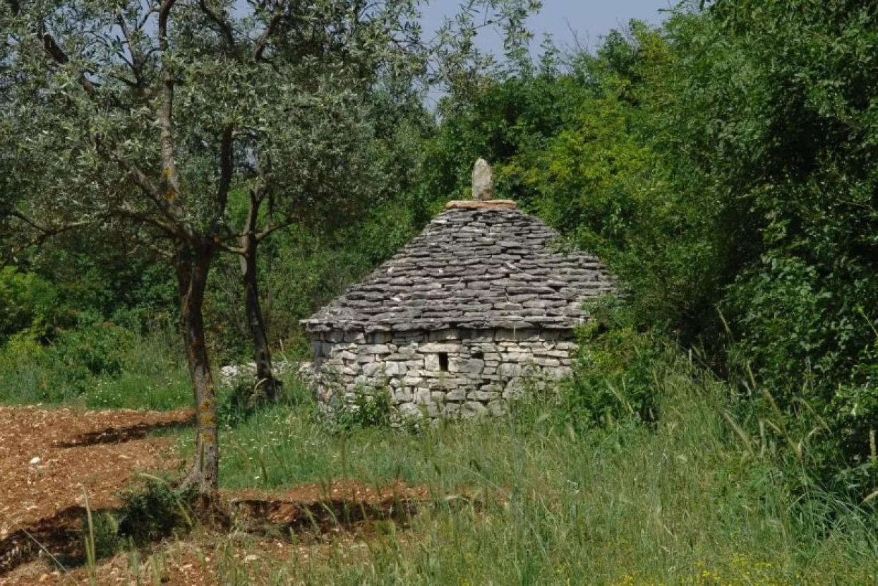Istarska županija želi tematsku sjednicu o Plominu