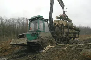 Hrvatske &scaron;ume zaposlile 100 radnika, za plaće 64 milijuna kuna vi&scaron;e