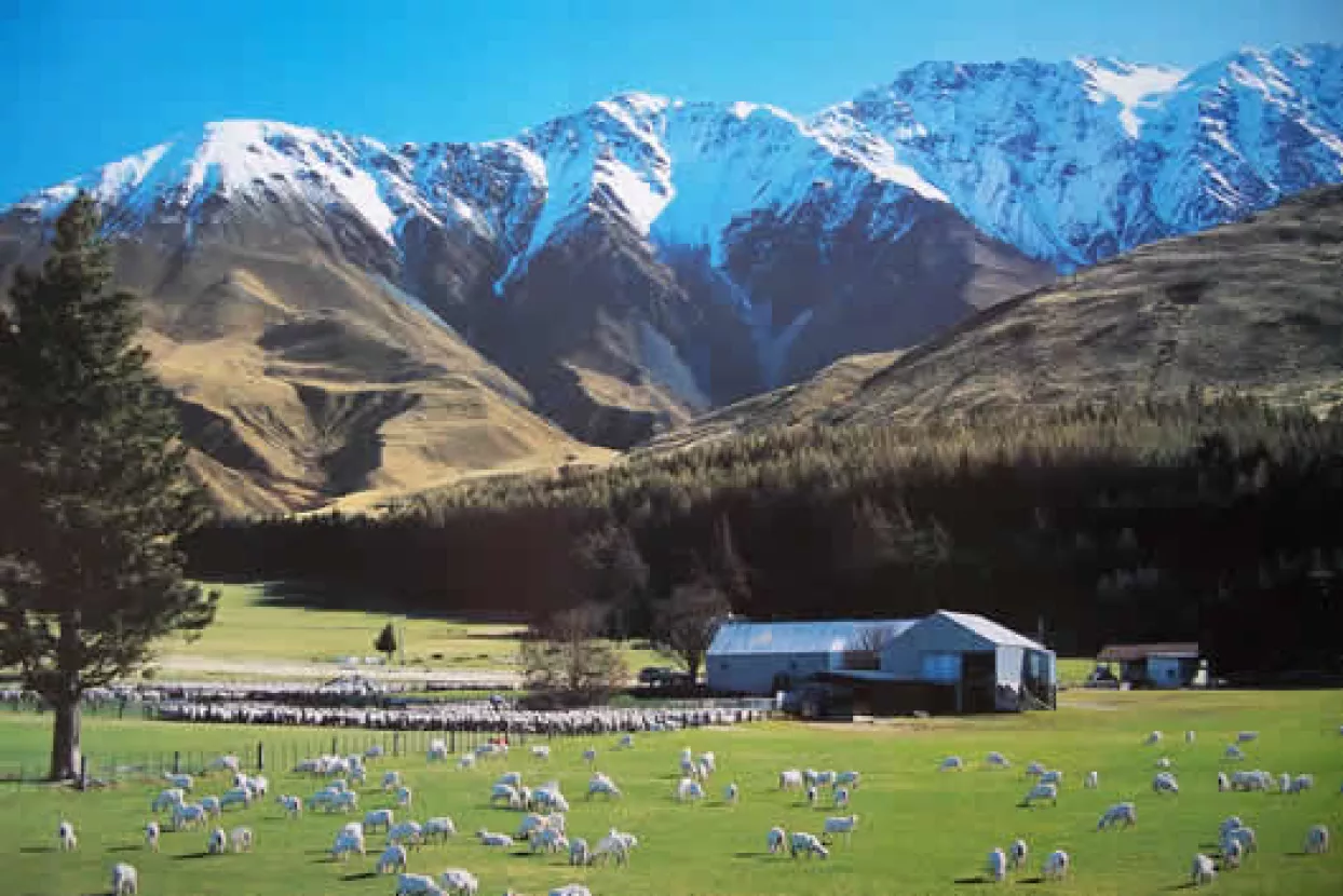Za Novi Zeland Hrvati vi&scaron;e ne trebaju vize