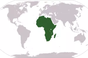 Kako su mobilni uređaji transformirali Afriku?