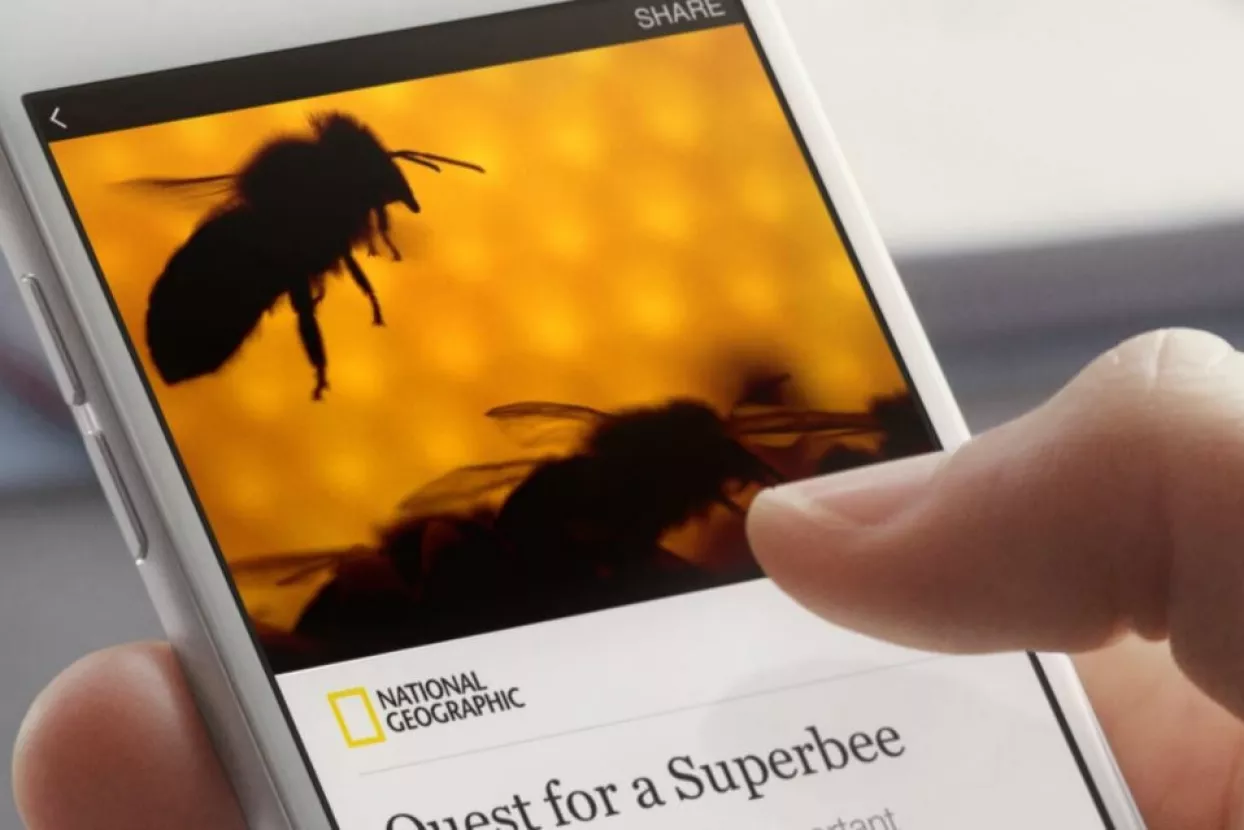 Devet medija članke će objavljivati direktno u Facebookovom News Feedu