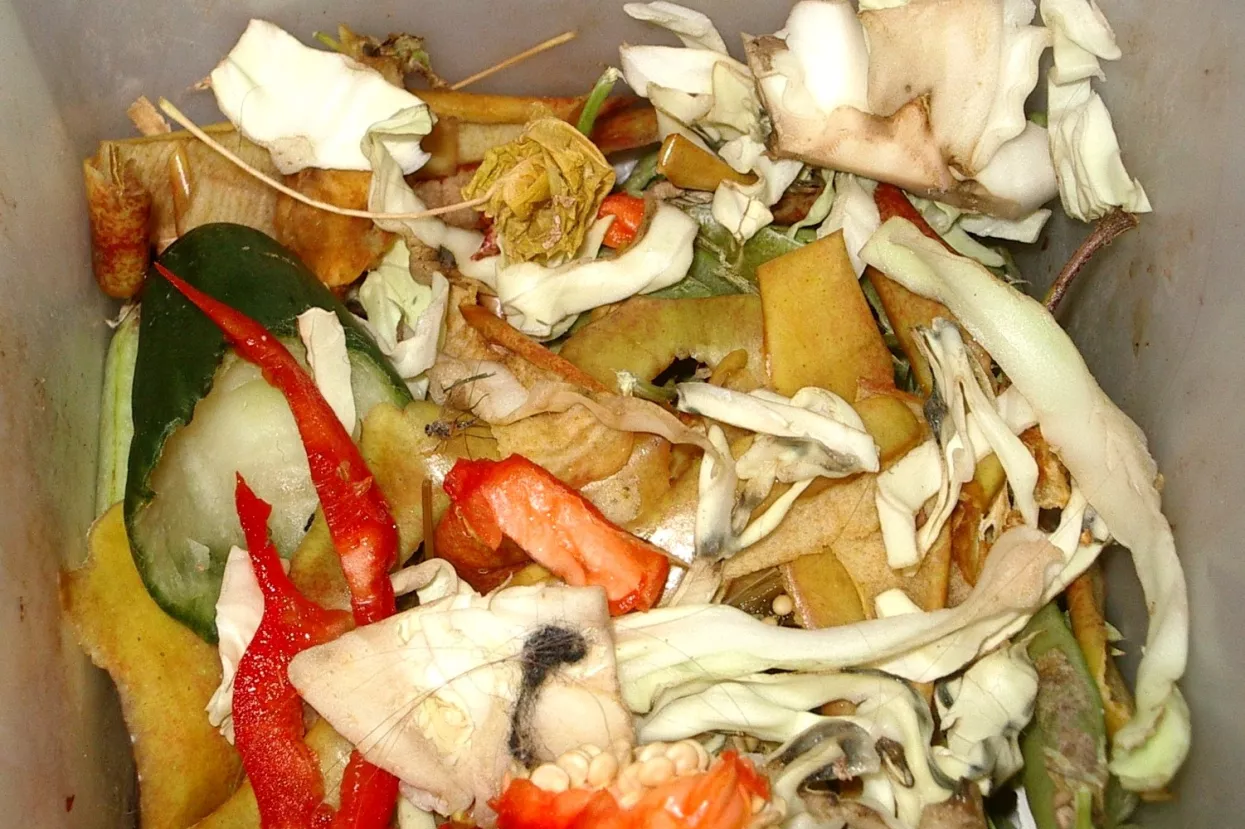 Francuskim supermarketima zabranjeno bacanje i uni&scaron;tavanje neprodane, ali jestive hrane