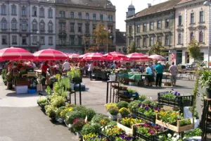 Otvara se specijalizirana trgovina za proizvode braniteljskih zadruga