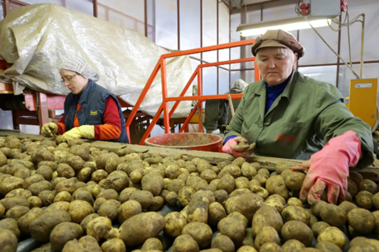 Franck preuzima distribuciju proizvoda Intersnacka