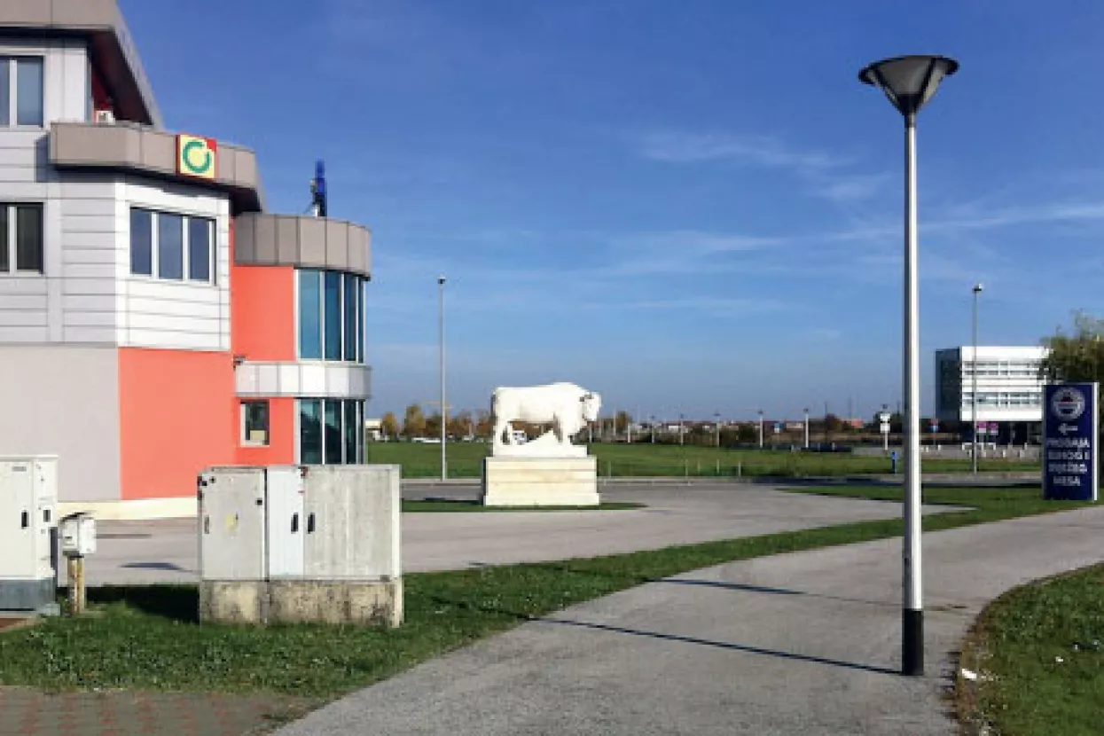Fiolić - Brončani i kameni bik misteriozno nestali sa postolja