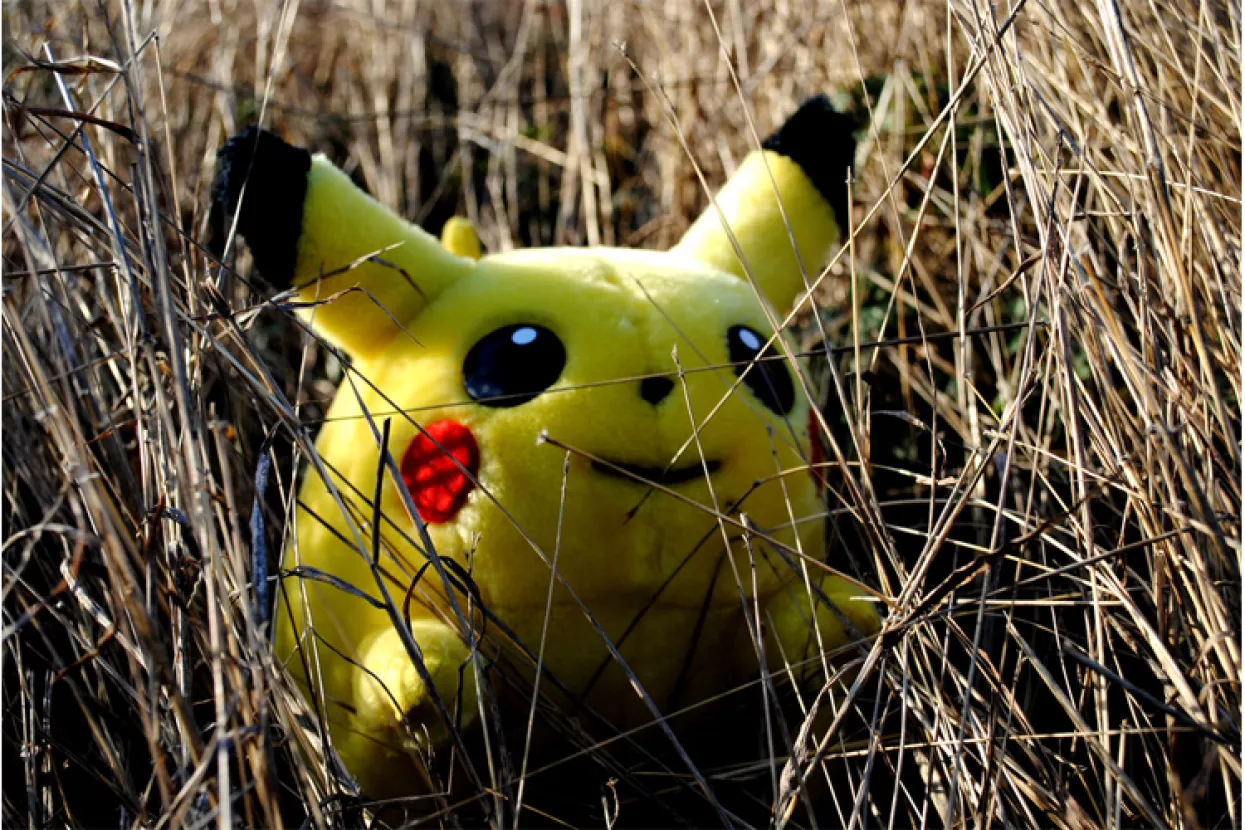 Francuska vojska Pok&eacute;mon Go smatra prijetnjom sigurnosti