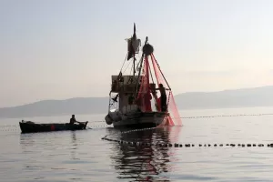 Danas se godi&scaron;nje jede dvostruko vi&scaron;e ribe nego prije 50 godina