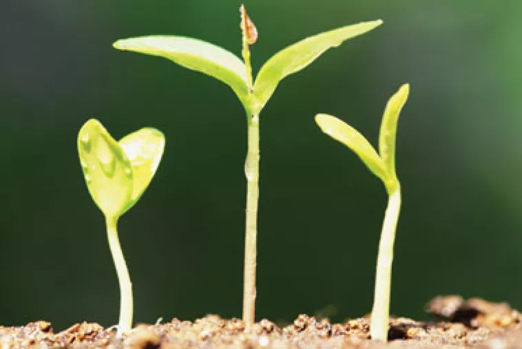 Agro Startup pomaže u realizaciji poslovnih ideja mladih poljoprivrednika