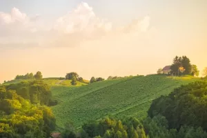 &Scaron;to se sve može vidjeti, ali i okusiti u hrvatskim EDEN destinacijama?