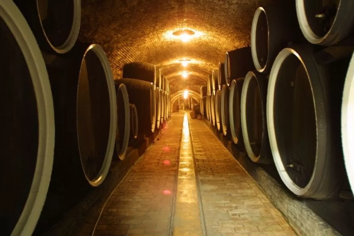 Tolu&scaron;ić izjednačio kontrolu domaćih i uvoznih vina