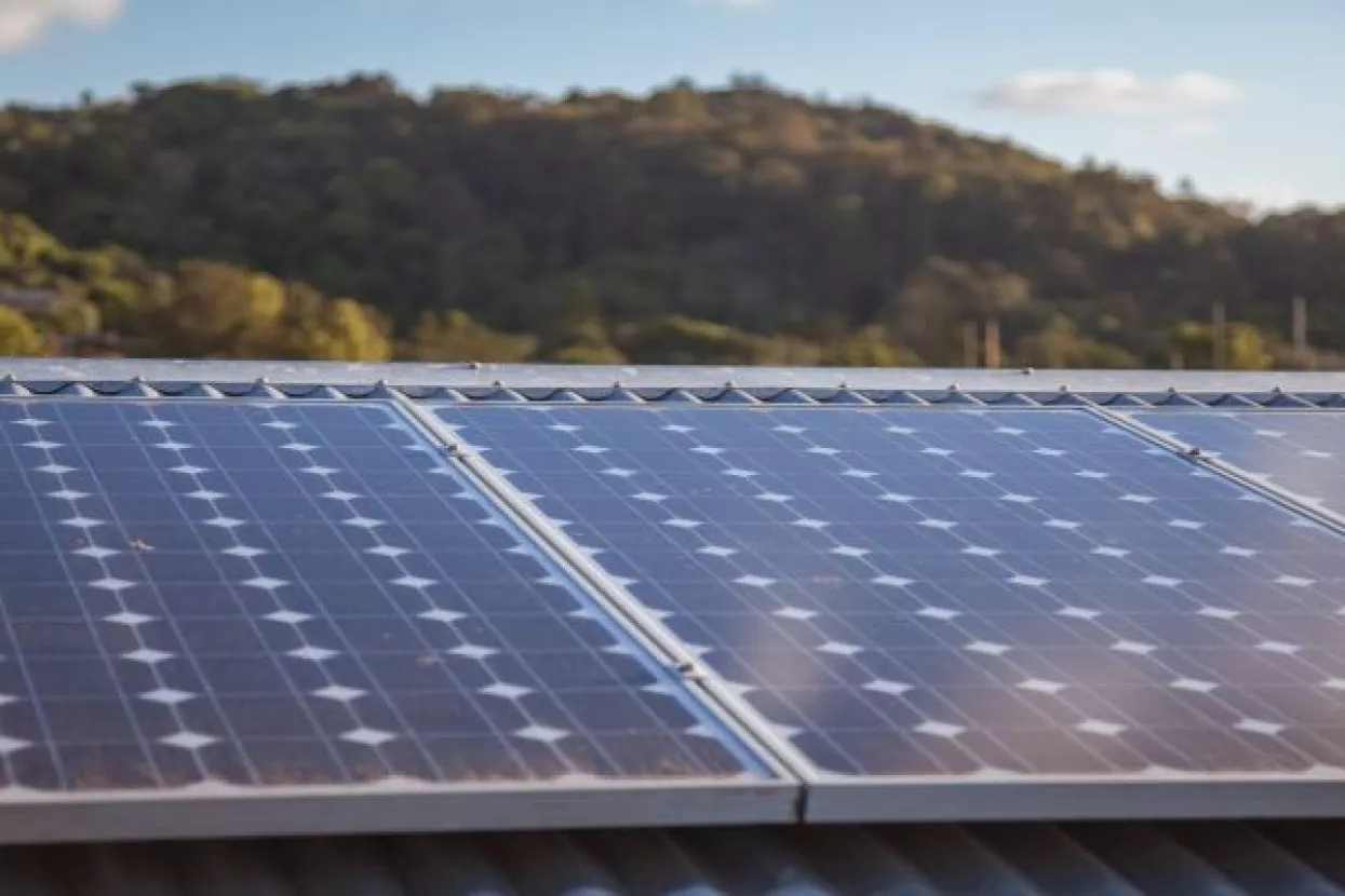 Kinezi i Nijemci zainteresirani za izgradnju masivnih solarnih parkova u Černobilu