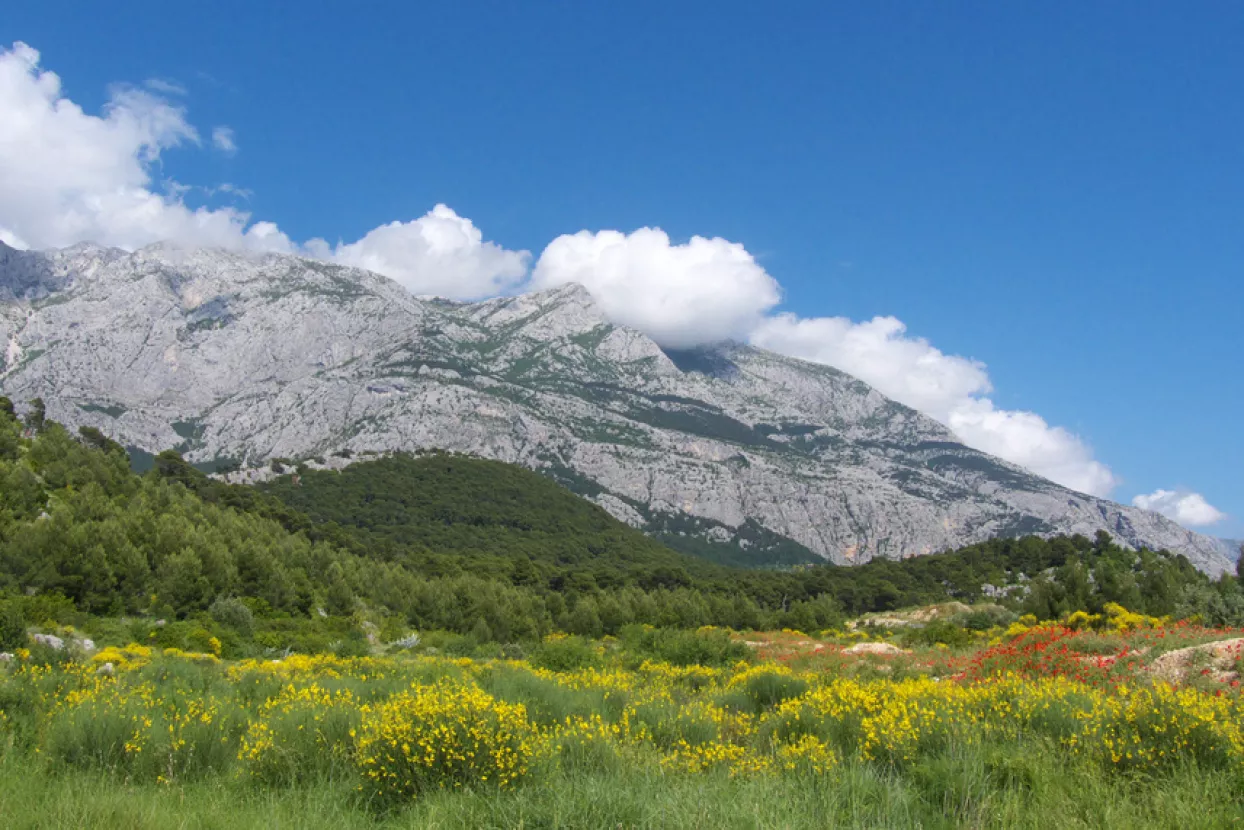 Za suzbijanje požara &scaron;umari Hrvatske i BiH u pet godina utro&scaron;ili 652 tisuća eura