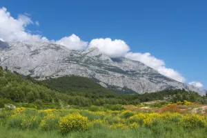 Za suzbijanje požara &scaron;umari Hrvatske i BiH u pet godina utro&scaron;ili 652 tisuća eura