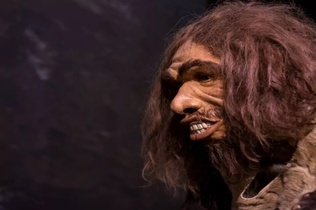 Neandertalci su koristili aspirin kao rje&scaron;enje za zubobolju