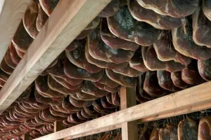 Mesna industrija Braća Pivac gradi pr&scaron;utanu u Gospodarskoj zoni Ravča