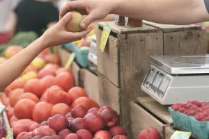 U Zagrebu otvorena prva GoGreen tržnica