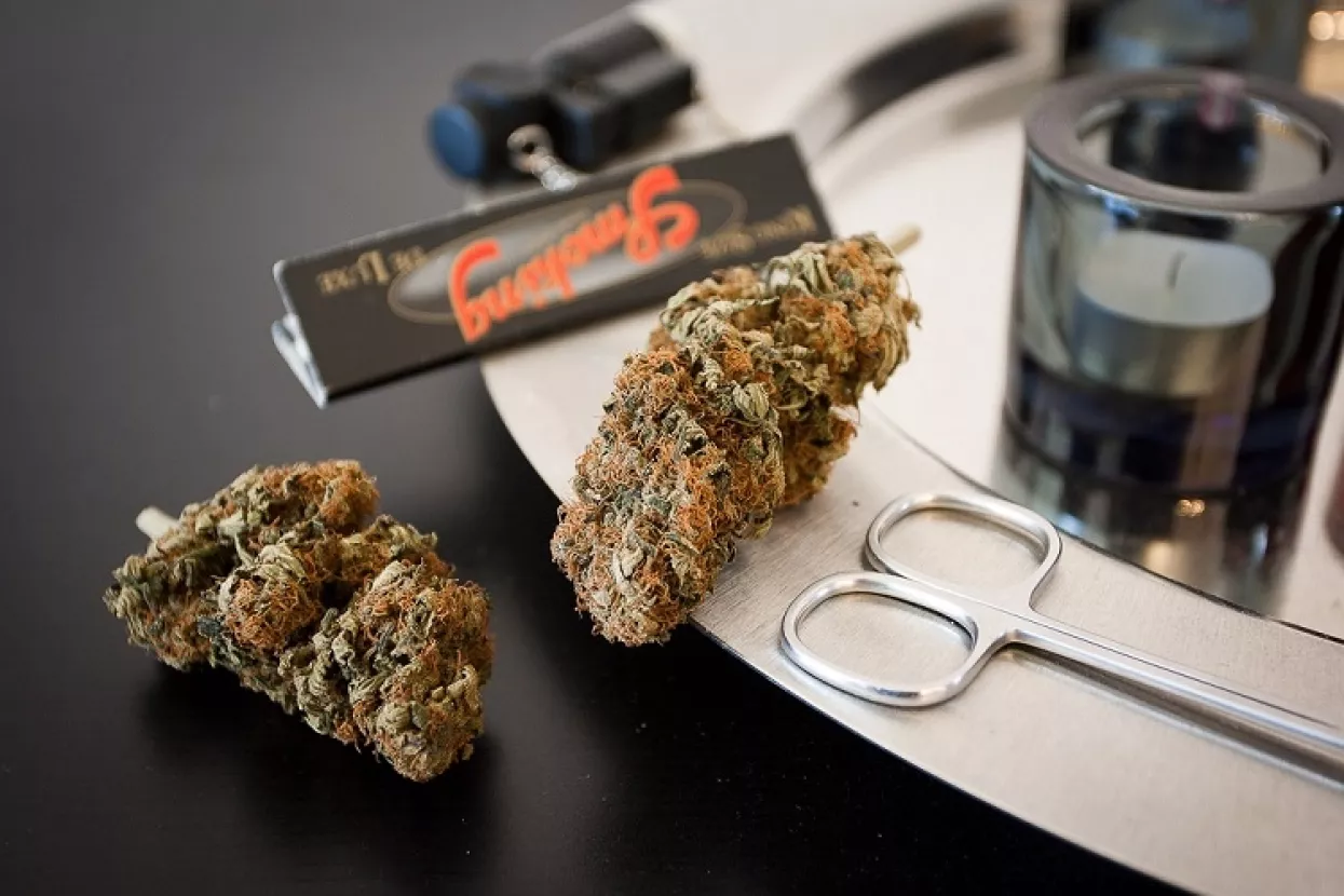 Posao s kanabisom doseže rekordne brojke u SAD-u, a Kanada kreće s legalizacijom