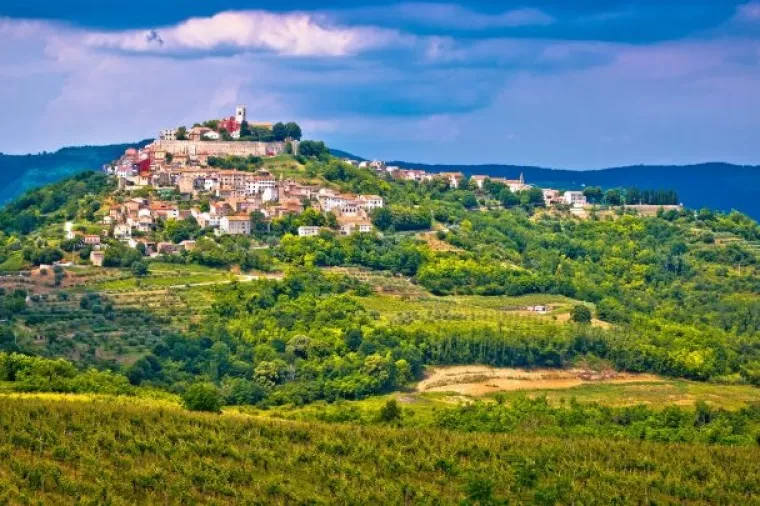 &Scaron;veđani proglasili Istru vinskom regijom godine