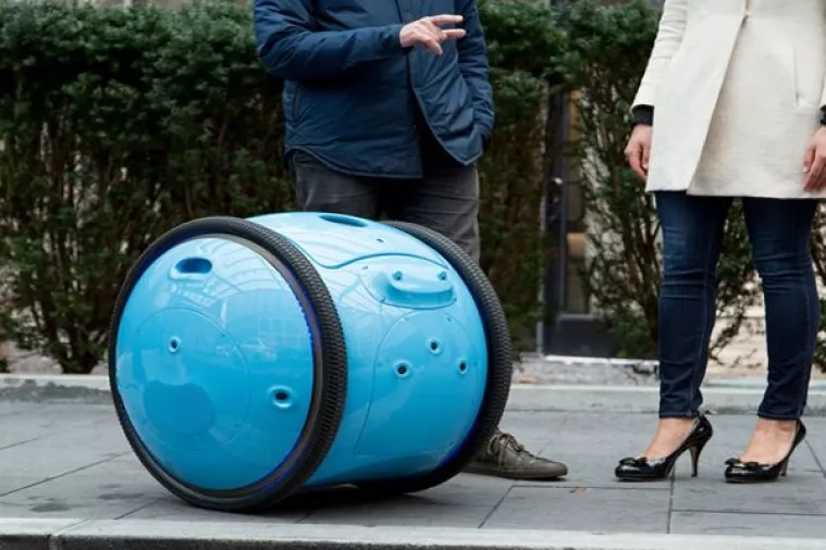 Dvanaest robota koje biste odmah udomili