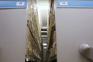 Otvoreno oko 60.000 dosjea biv&scaron;e Službe državne sigurnosti, najzanimljivije izostalo