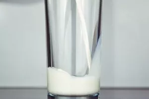 Djeca koja piju kravlje mlijeko vi&scaron;a su od vr&scaron;njaka