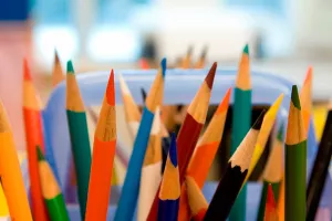 Članica ERS-a za kurikularnu reformu Farka&scaron; podnijela ostavku