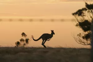 Anketa: Bezbo&scaron;tvo je najpopularnija 'religija' Australije