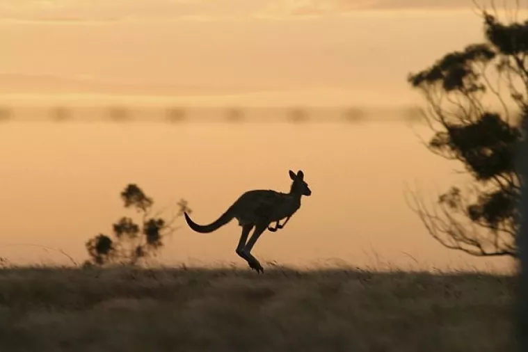 Anketa: Bezbo&scaron;tvo je najpopularnija 'religija' Australije