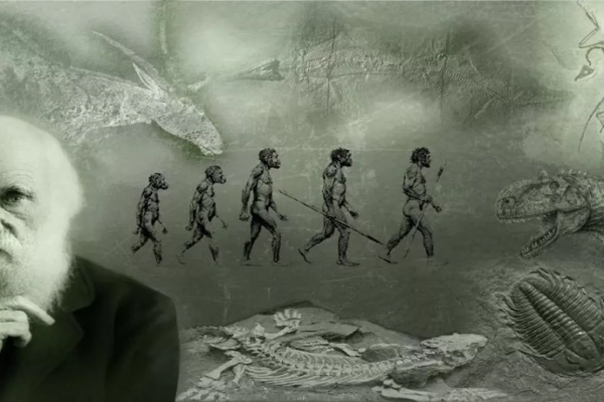 Evolucija izbačena, džihad uvr&scaron;ten: Turska predstavila novi &scaron;kolski kurikulum