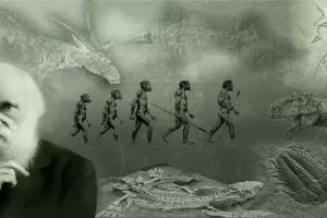 Evolucija izbačena, džihad uvr&scaron;ten: Turska predstavila novi &scaron;kolski kurikulum