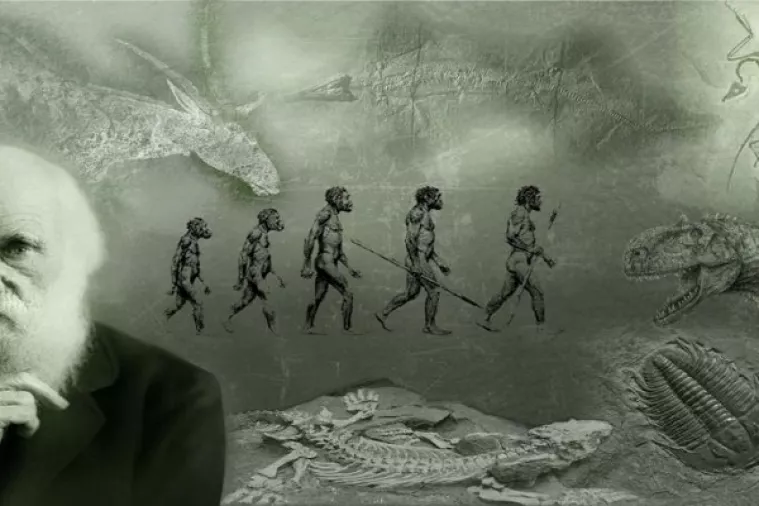 Evolucija izbačena, džihad uvr&scaron;ten: Turska predstavila novi &scaron;kolski kurikulum