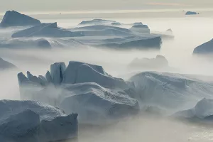 Crne alge na povr&scaron;ini Grenlanda najavljuju dizanje mora