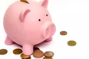 &Scaron;tedite na sve strane, isplati se imati vi&scaron;e 'kasica prasica'