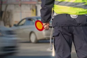 Kikiriki za 244 na sat
