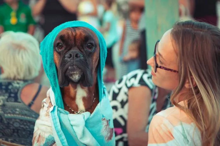 Utrka na plaži za pse i pivo od piletine proslavili Montijev bar u Crikvenici