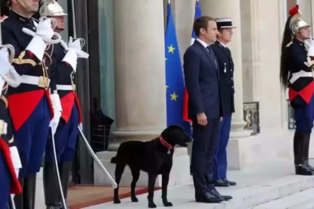 Macron udomio psa s besprijekornim manirama