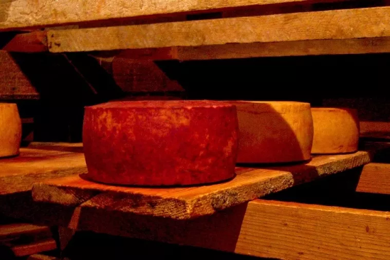 Pa&scaron;ki sir i Agrolagunin '&Scaron;pin' osvojili medalje na Global Cheese Awardsu