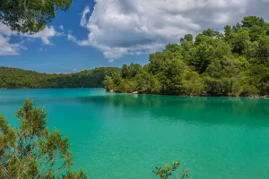 Greenpeace či&scaron;ćenjem plaže na Mljetu upozorio na ugroženost Jadrana plastičnim otpadom