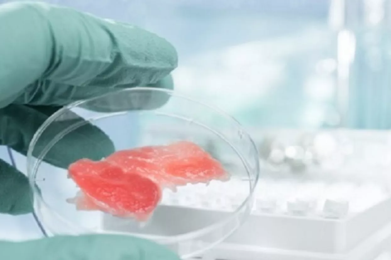 Kina otvara trži&scaron;te izraelskom mesu iz laboratorija
