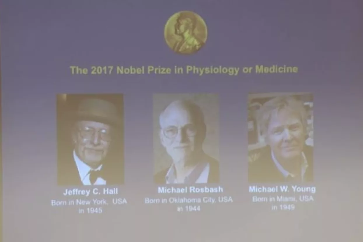 'Biolo&scaron;ki sat' američkim znanstvenicima osigurao Nobela