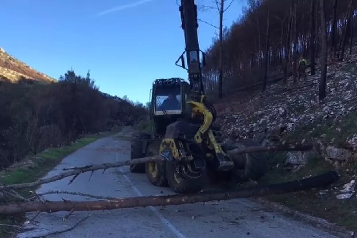 Izgorjelu &scaron;umu kod Splita krče Slovenci