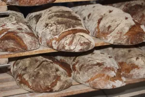 Finski pekari lansirali kruh od zrikavaca