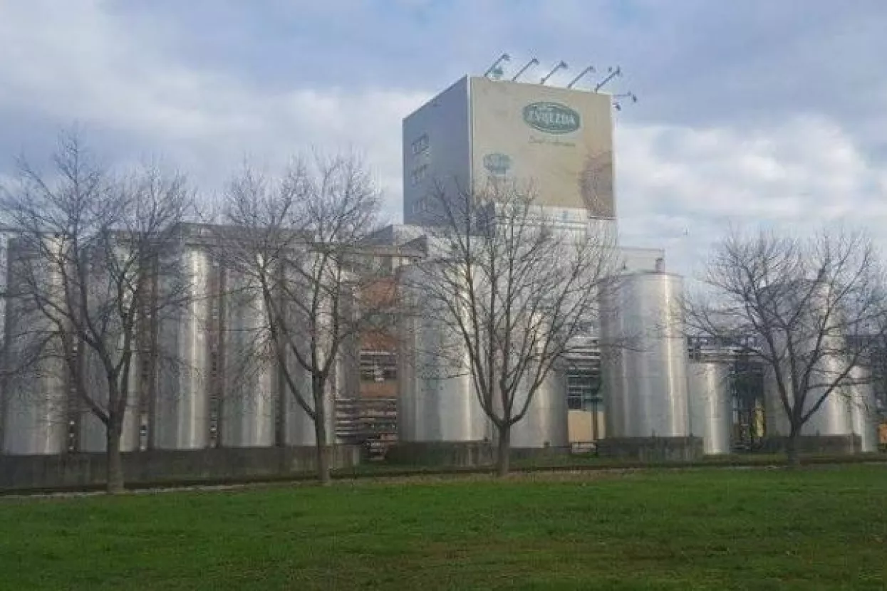 Zvijezda investirala 29 milijuna kuna u modernizaciju pogona margarina