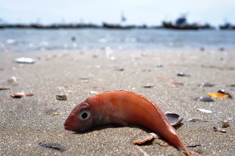 UN najavio nultu toleranciju na oneči&scaron;ćenje oceana plastikom