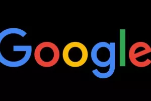Google: Hrvate u 2017. od pojmova najvi&scaron;e zanimao DIP, a od događaja izbori
