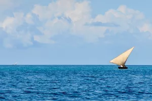Poljski mornar  u dru&scaron;tvu mačke sedam mjeseci plutao Indijskim oceanom