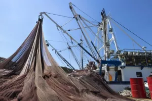 EP usvojio izmjene pravila o ribarstvu i prihvatio amandman Ruže Toma&scaron;ić važan za Jadran