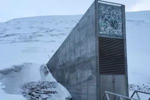 'Biljna Noina arka' prikupila gotovo&nbsp;milijun vrsta sjemena